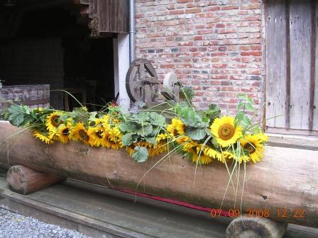 DSCN5051.JPG DSCN5051.JPG