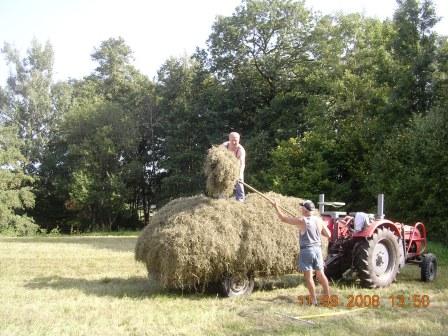 heuwagen65.JPG heuwagen65.JPG